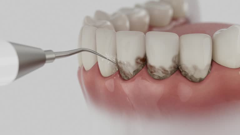 Reliable Dental contractor in East Grand Rapids, MI by Dentist Open Now